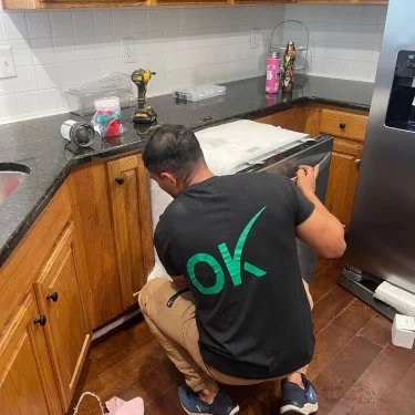 dishwashed repair